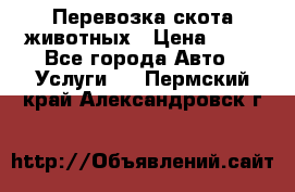 Перевозка скота животных › Цена ­ 39 - Все города Авто » Услуги   . Пермский край,Александровск г.